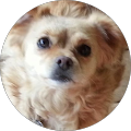 Pam profile picture